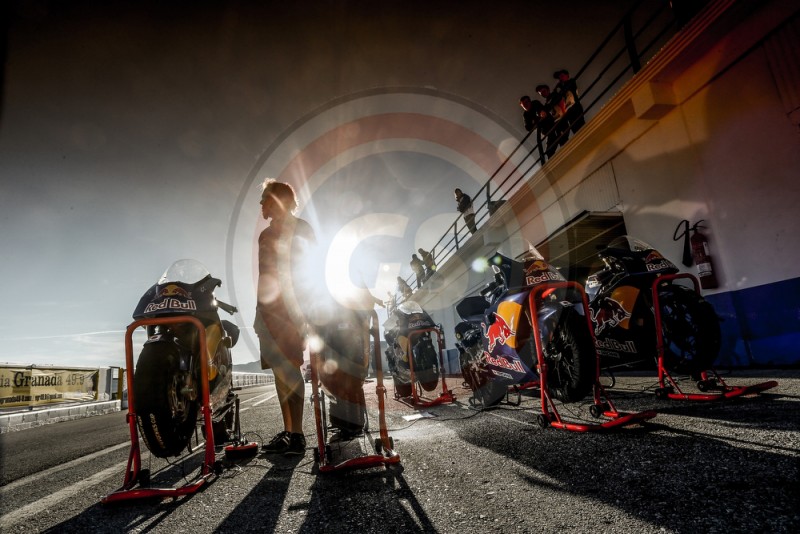 RED BULL ROOKIES CUP 2014